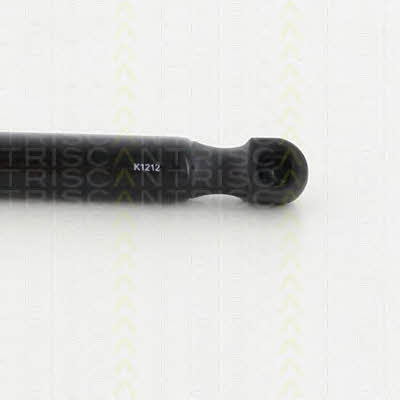 Triscan 8710 292010 Gas Spring, boot-/cargo area 8710292010: Buy near me in Poland at 2407.PL - Good price!