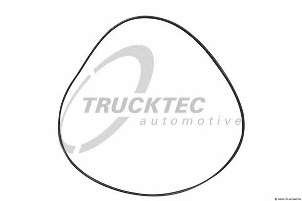 Trucktec 08.17.019 Кольцо уплотнительное 0817019: Отличная цена - Купить в Польше на 2407.PL!