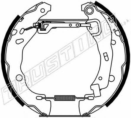 Trusting 6279 Brake shoe set 6279: Buy near me at 2407.PL in Poland at an Affordable price!