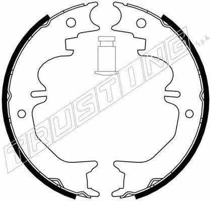 Trusting 115.313 Parking brake shoes 115313: Buy near me at 2407.PL in Poland at an Affordable price!