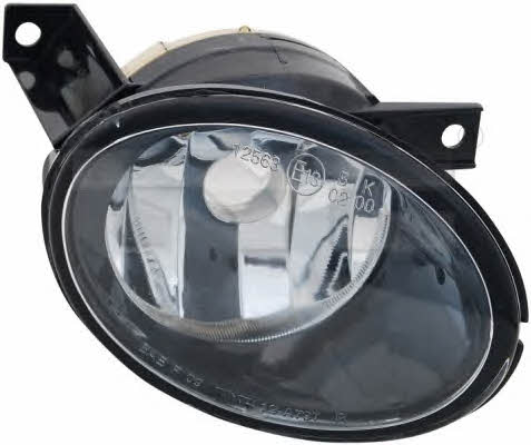 TYC 19-0825-01-9 Fog headlight, right 190825019: Buy near me in Poland at 2407.PL - Good price!