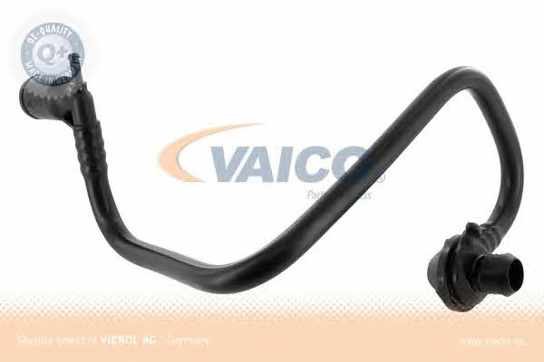 Купити Vaico V10-3634 за низькою ціною в Польщі!