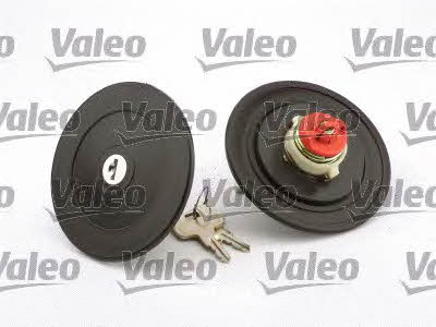 Valeo 247513 Fuel Door Assembly 247513: Buy near me in Poland at 2407.PL - Good price!