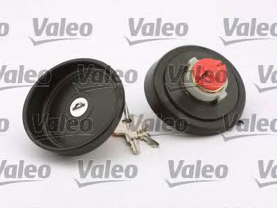 Valeo 247517 Fuel Door Assembly 247517: Buy near me in Poland at 2407.PL - Good price!