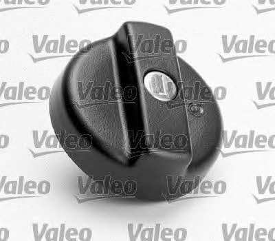 Valeo 247530 Fuel Door Assembly 247530: Buy near me in Poland at 2407.PL - Good price!