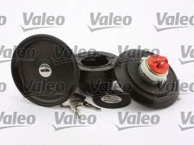 Valeo 247555 Fuel Door Assembly 247555: Buy near me in Poland at 2407.PL - Good price!