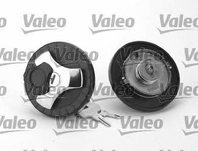Valeo 247704 Fuel Door Assembly 247704: Buy near me in Poland at 2407.PL - Good price!