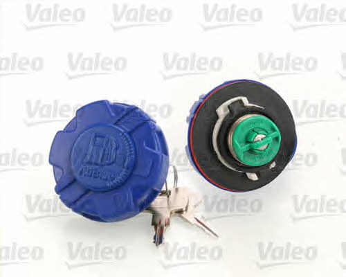 Valeo 247718 Fuel Door Assembly 247718: Buy near me in Poland at 2407.PL - Good price!