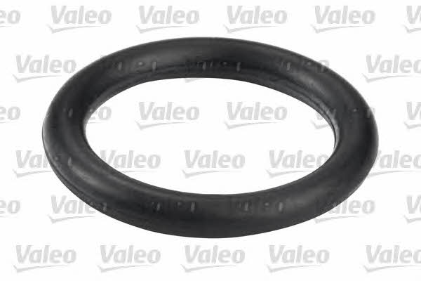 Valeo 587555 Топливный фильтр 587555: Купить в Польше - Отличная цена на 2407.PL!