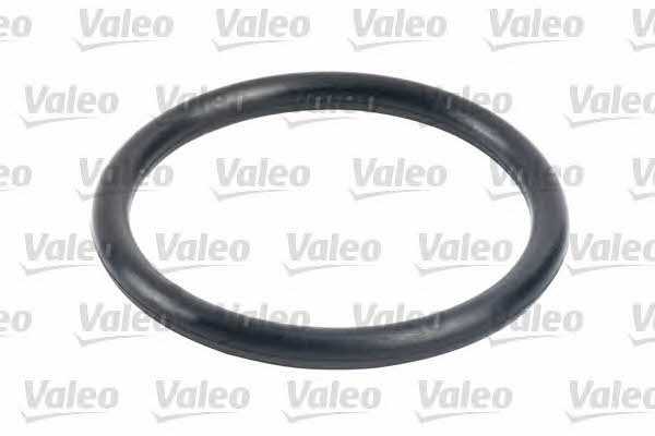 Valeo 587702 Fuel filter 587702: Buy near me at 2407.PL in Poland at an Affordable price!