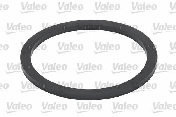 Valeo 587925 Fuel filter 587925: Buy near me at 2407.PL in Poland at an Affordable price!