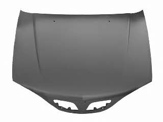 Van Wezel 3349660 Hood 3349660: Buy near me at 2407.PL in Poland at an Affordable price!