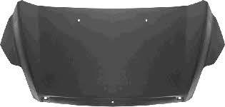 Van Wezel 1866660 Hood 1866660: Buy near me at 2407.PL in Poland at an Affordable price!
