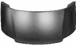 Van Wezel 5879660 Hood 5879660: Buy near me at 2407.PL in Poland at an Affordable price!