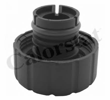 Vernet RC0148 Radiator caps RC0148: Buy near me in Poland at 2407.PL - Good price!