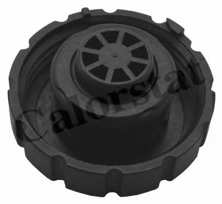 Vernet RC0160 Radiator caps RC0160: Buy near me at 2407.PL in Poland at an Affordable price!
