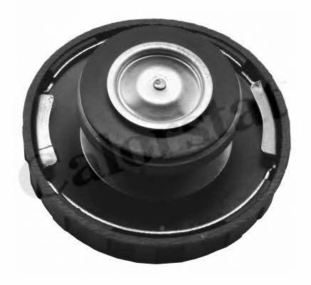 Vernet RC0151 Radiator caps RC0151: Buy near me at 2407.PL in Poland at an Affordable price!