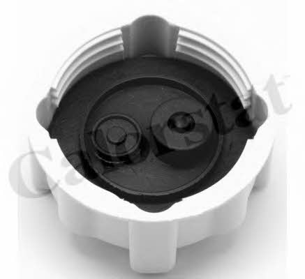Vernet RC0031 Radiator caps RC0031: Buy near me at 2407.PL in Poland at an Affordable price!