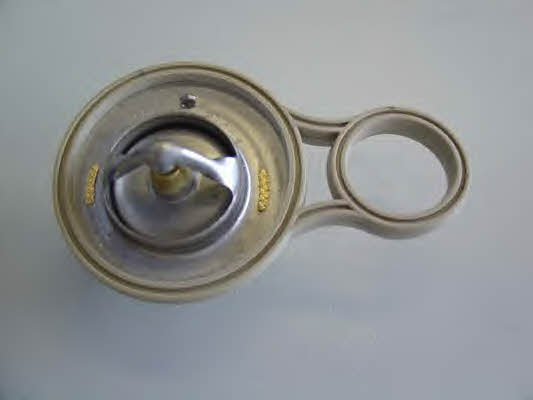 Wahler 410263.91D Thermostat, coolant 41026391D: Buy near me in Poland at 2407.PL - Good price!