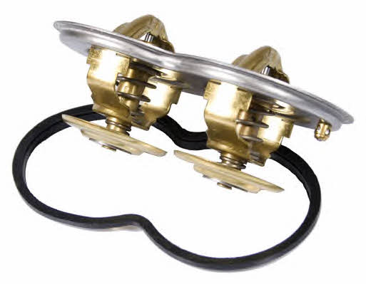 Wahler 4224.80D Thermostat, coolant 422480D: Buy near me in Poland at 2407.PL - Good price!