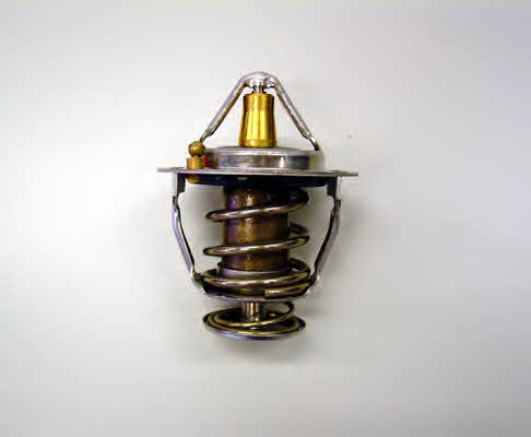 Wahler 410176.82D0 Thermostat, coolant 41017682D0: Buy near me in Poland at 2407.PL - Good price!