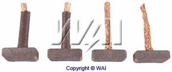 Wai JASX79 Alternator brushes JASX79: Buy near me in Poland at 2407.PL - Good price!