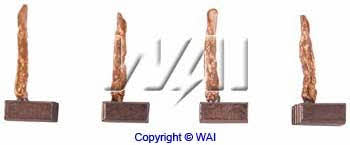 Wai BSX218-219 Alternator brushes BSX218219: Buy near me in Poland at 2407.PL - Good price!