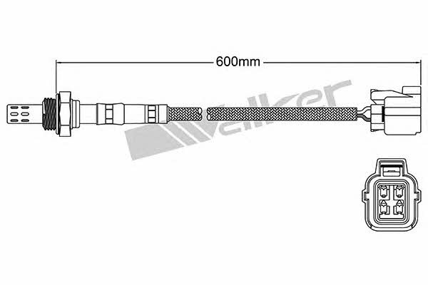 Buy Walker 250-24922 at a low price in Poland!