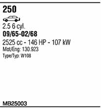 Walker MB25003 Abgasanlage MB25003: Kaufen Sie zu einem guten Preis in Polen bei 2407.PL!