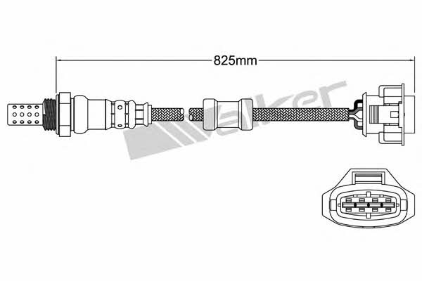 Купити Walker 250-24854 за низькою ціною в Польщі!