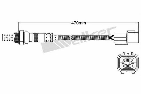 Купити Walker 250-24233 за низькою ціною в Польщі!