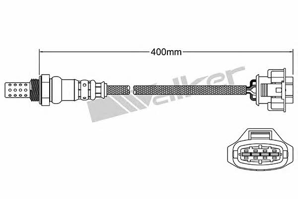 Купити Walker 250-24612 за низькою ціною в Польщі!