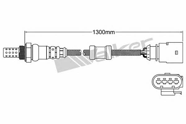 Kup Walker 250-24717 w niskiej cenie w Polsce!