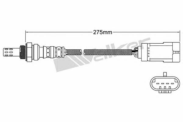 Kup Walker 250-24975 w niskiej cenie w Polsce!