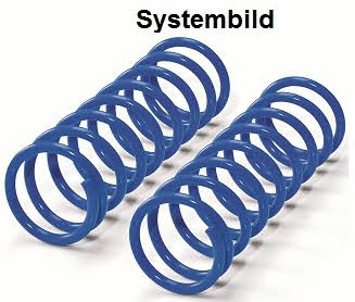 Westfalia 414364500001 Suspension kit, coil springs 414364500001: Buy near me at 2407.PL in Poland at an Affordable price!