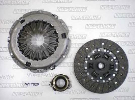 Westlake WTY029 Clutch kit WTY029: Buy near me at 2407.PL in Poland at an Affordable price!