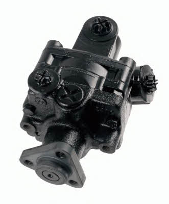 ZF 8691 955 166 Hydraulic Pump, steering system 8691955166: Buy near me in Poland at 2407.PL - Good price!