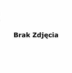 PZL Sedziszow WP1523X Filtr paliwa WP1523X: Atrakcyjna cena w Polsce na 2407.PL - Zamów teraz!