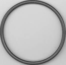 Wilmink Group WG1189762 Termostat gasket WG1189762: Buy near me at 2407.PL in Poland at an Affordable price!