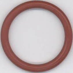 Wilmink Group WG1194791 Pusher O-Ring WG1194791: Buy near me in Poland at 2407.PL - Good price!