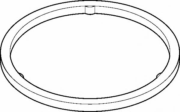 Wilmink Group WG1194666 Uszczelka rury wydechowej WG1194666: Dobra cena w Polsce na 2407.PL - Kup Teraz!