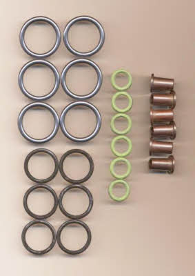 Wilmink Group WG1194119 O-rings for fuel injectors, set WG1194119: Buy near me in Poland at 2407.PL - Good price!