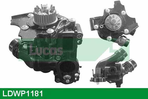 Lucas engine drive LDWP1181 Pompa wodna LDWP1181: Dobra cena w Polsce na 2407.PL - Kup Teraz!