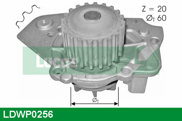 Lucas engine drive LDWP0256 Pompa wodna LDWP0256: Dobra cena w Polsce na 2407.PL - Kup Teraz!