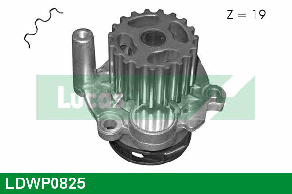 Lucas engine drive LDWP0825 Pompa wodna LDWP0825: Dobra cena w Polsce na 2407.PL - Kup Teraz!