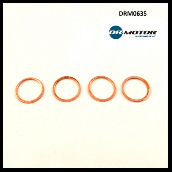 Dr.Motor DRM063S Seal Kit, injector nozzle DRM063S: Buy near me in Poland at 2407.PL - Good price!