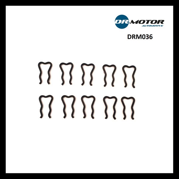 Dr.Motor DRM036 Retaining Spring DRM036: Buy near me at 2407.PL in Poland at an Affordable price!