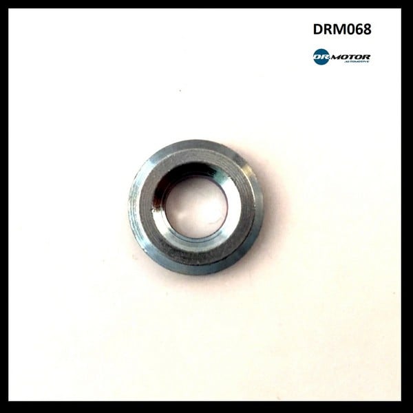 Dr.Motor DRM068 Seal Ring, injector DRM068: Buy near me in Poland at 2407.PL - Good price!