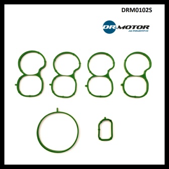 Dr.Motor DRM0102S Прокладки впускного колектора, комплект DRM0102S: Купити у Польщі - Добра ціна на 2407.PL!