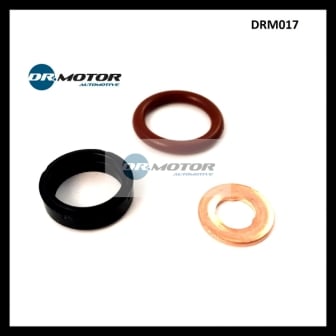 Dr.Motor DRM017 Fuel injector repair kit DRM017: Buy near me in Poland at 2407.PL - Good price!